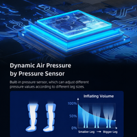 Leg Massager compressor